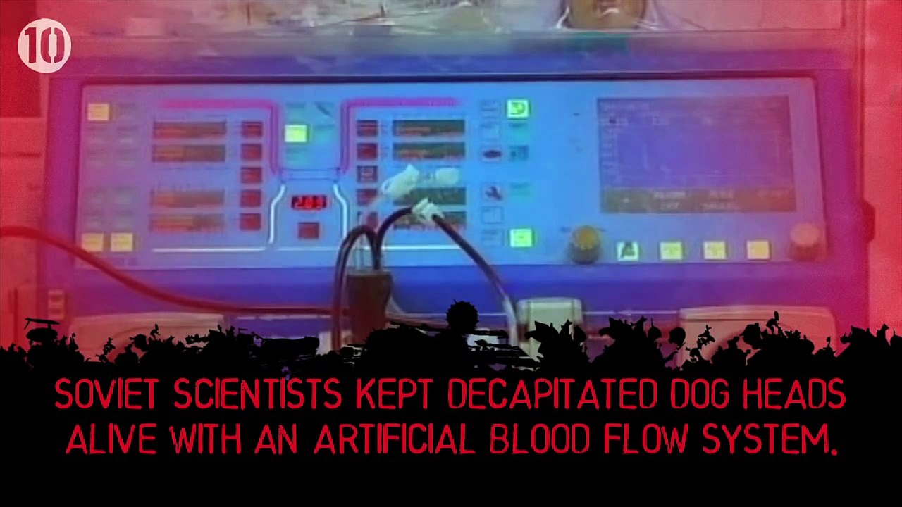 10 Disgusting Facts About Blood