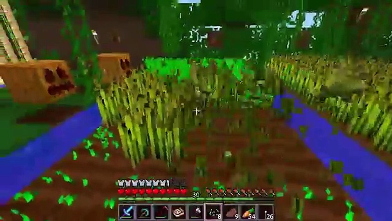 \"Hundehaus\" Minecraft Video