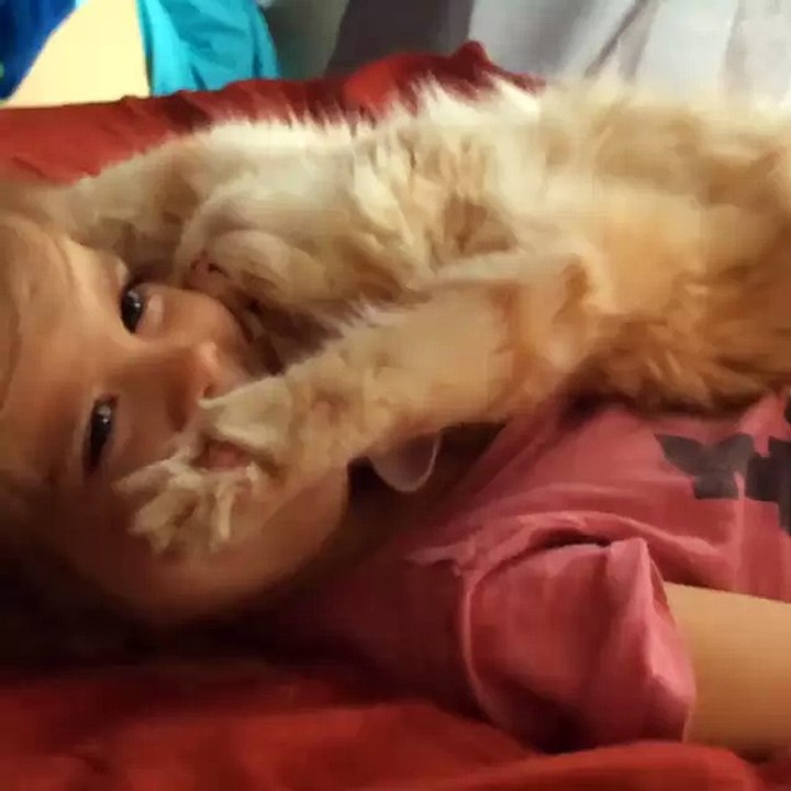 Ah, this is the life!