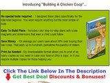 Building A Chicken Coop For 20 Chickens Discount   Bouns