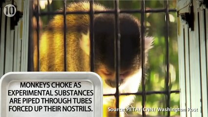 10 Horrific Animal Experiments