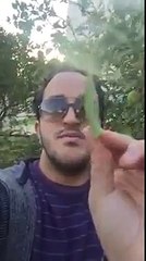 بندير مان يفرك فيهم  على أغنية الهاشمي الحامدي  همهمهمهمهع