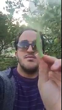 بندير مان يفرك فيهم على أغنية الهاشمي الحامدي همهمهمهمهع