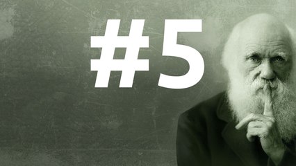 SLEDD #5 du 2 octobre 2010, Longévité, jeunesse et vieillissement