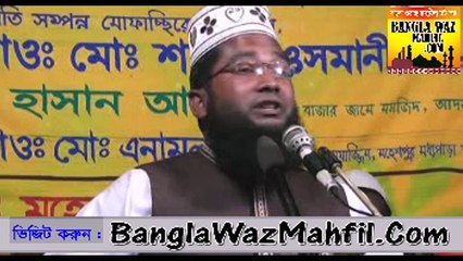 bangla waz by shamim osmani - Nobi Rasular Prayanar Lokko 06
