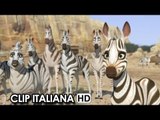 Khumba Clip Ufficiale Italiana 'Mischia' (2014) Anthony Silverston Movie HD