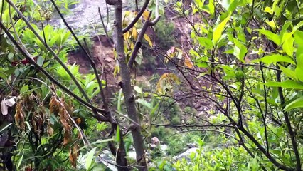 7.8 Mw Nepal Earthquake at Liping Khola Sindhupalchok