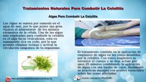 TRATAMIENTOS CASEROS PARA LA CELULITIS - CELULITIS NUNCA MAS