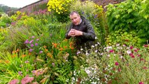 Herbaceous Borders & Kitchen Gardens