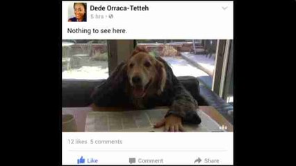 Facebook eleva en 2015 sus ganancias en un 25%