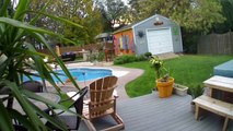 Black Cat Pushes Orange Cat Into The Swimming Pool