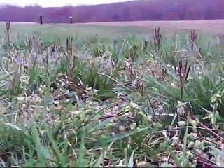 RCPowers Tribute Fly-In Highlights