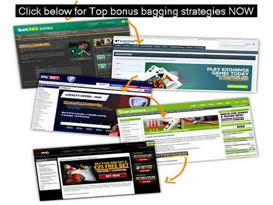 Bonus Bagging Arbitrage Software1