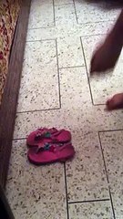 hehehe Alot of Fun