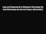 [PDF Download] Jung and Shamanism in Dialogue: Retrieving the Soul/Retrieving the Sacred (Jung