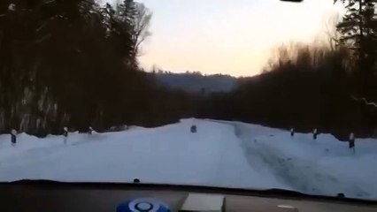 В Приморье тигр пытался догнать автомобиль! (Шкотовский район)