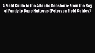 A Field Guide to the Atlantic Seashore: From the Bay of Fundy to Cape Hatteras (Peterson Field