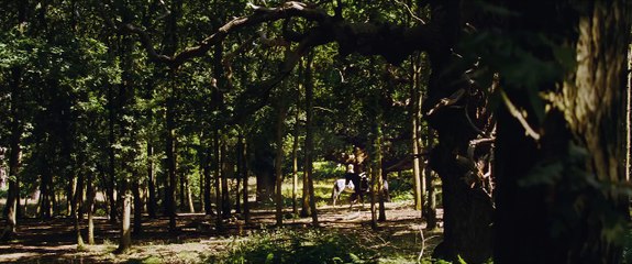 A New Vision  - Disney's Cinderella