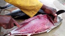 How To Fillet Fish - Yellowfin Tuna & Bigeye Tuna