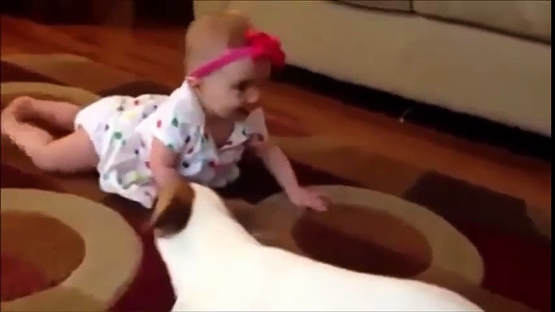 ⁣Funny Video - Funny Pets Compilation - Funny Cat - Funny Dogs