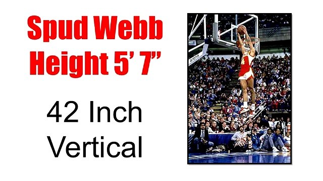 The Jump Manual 2013 Increase your vertical jump by 10 inches guaranteed!