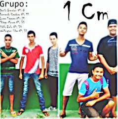 The Bizonhos - Mineko Hayashida - 2015