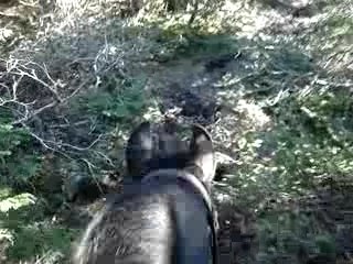 5 Mai Petit sentier de montagne