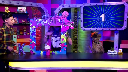 Lauren Platt V Karim SPLATLL DO NICELY CBBC