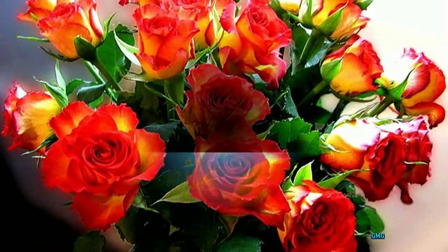 Добрая песня для друзей