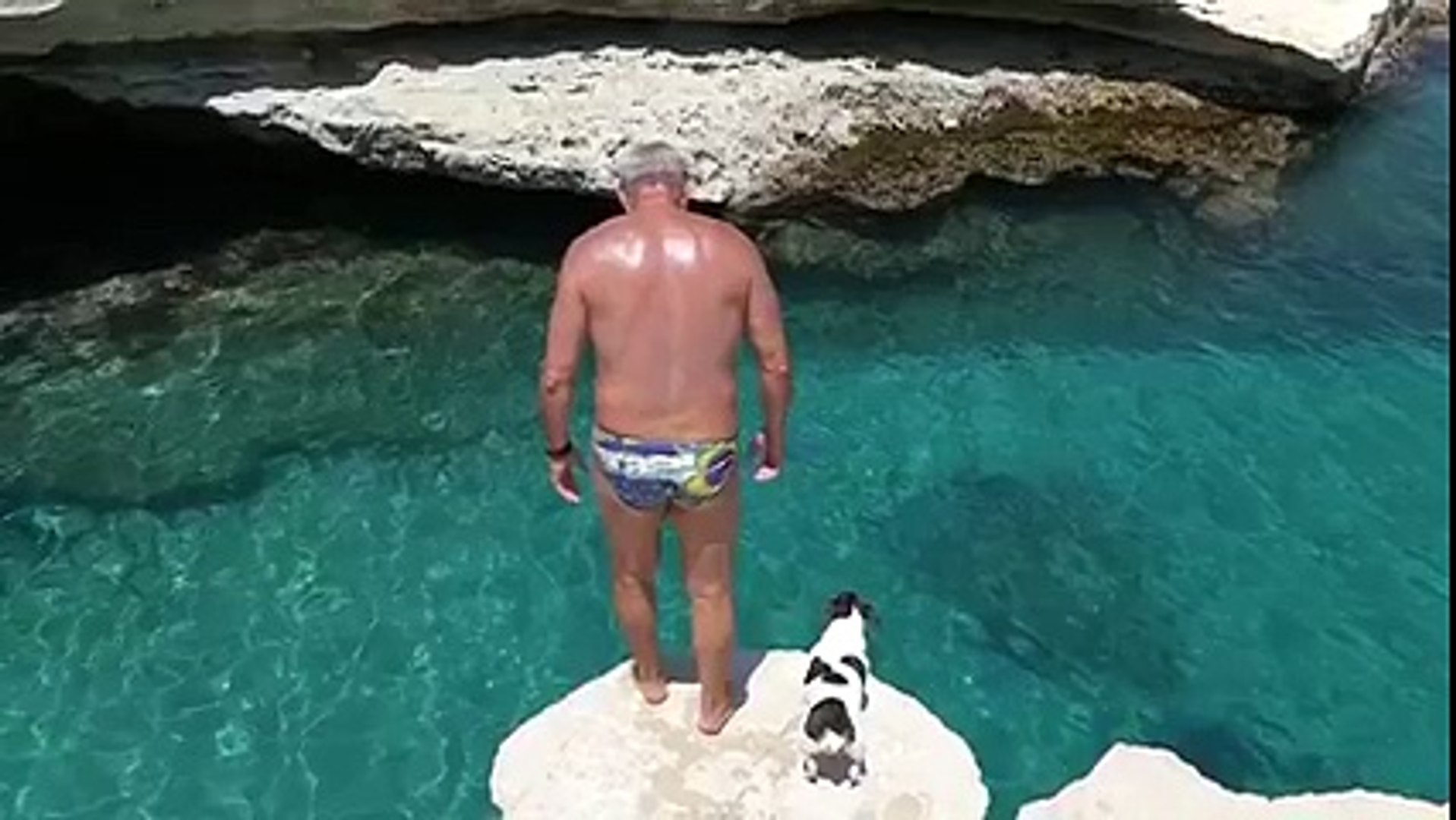 ⁣Man & Dog Cliff Jumping |Cliff Diving|