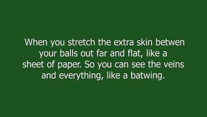 batwing meaning and pronunciation