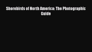 [PDF Download] Shorebirds of North America: The Photographic Guide [PDF] Full Ebook
