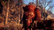 Far Cry Primal | Preview / Vorschau zum Steinzeit-Shooter