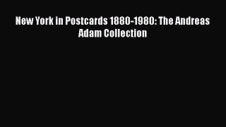 New York in Postcards 1880-1980: The Andreas Adam Collection  Free Books