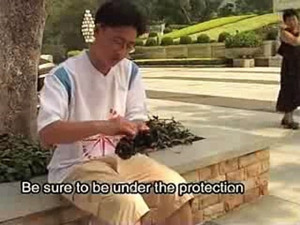 HOW TO Flashing Roller SkatING