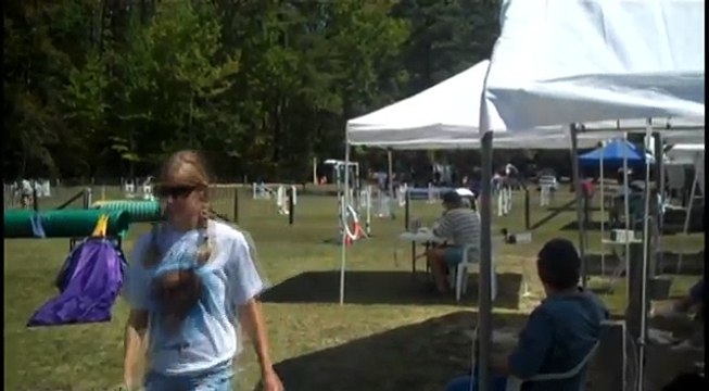 Agility Show and Go Hosted by Belroi Agility Club of Va