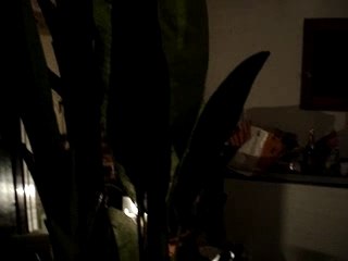 yoan et eva fête de laure mai 2007