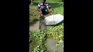 compilation Strangest of fishing methods