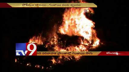 Ganja farms destroyed by police in Karimnagar