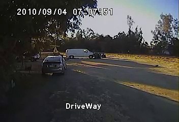 After Small Dog is Carried off by a Coyote, the Neighbor’s Rottweiler Springs into Action