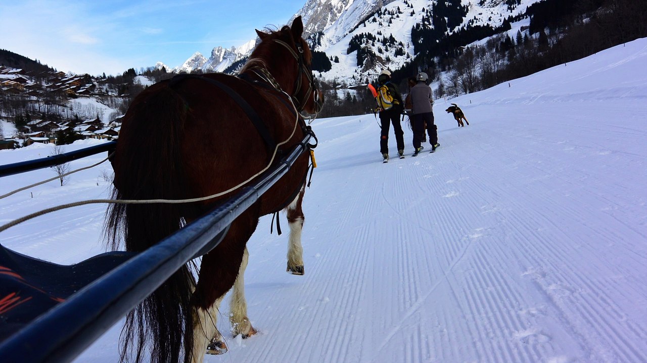 Ski Joering a la clusaz ! avec Aravis Passion