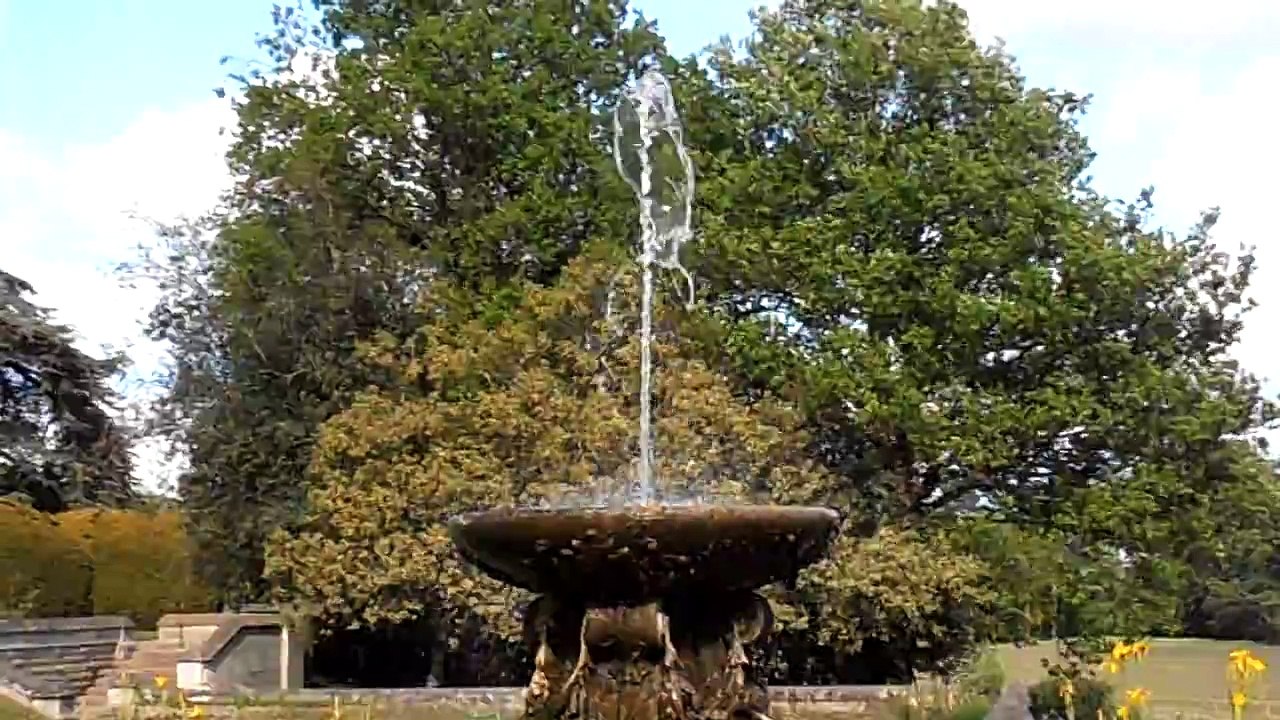 Olympus VR 310 Digital Camera Test Video