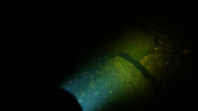 Dernier plongeon - Court-métrage d'horreur le plus flippant