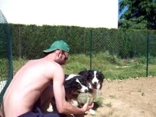 Cedrik (barbek tino )