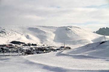 Ardahan'da Bir 'Atatürk Silueti' Vakası Daha