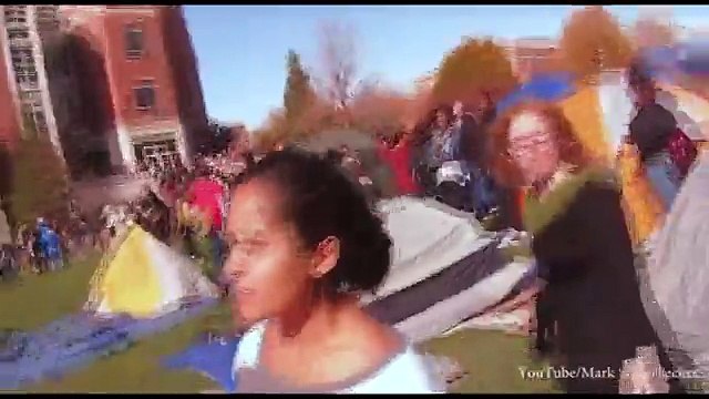 Bizarre moment media professor boots reporter from protest _ Daily Mail Online