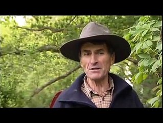 Le vrai jardinage expliqué par un passionné