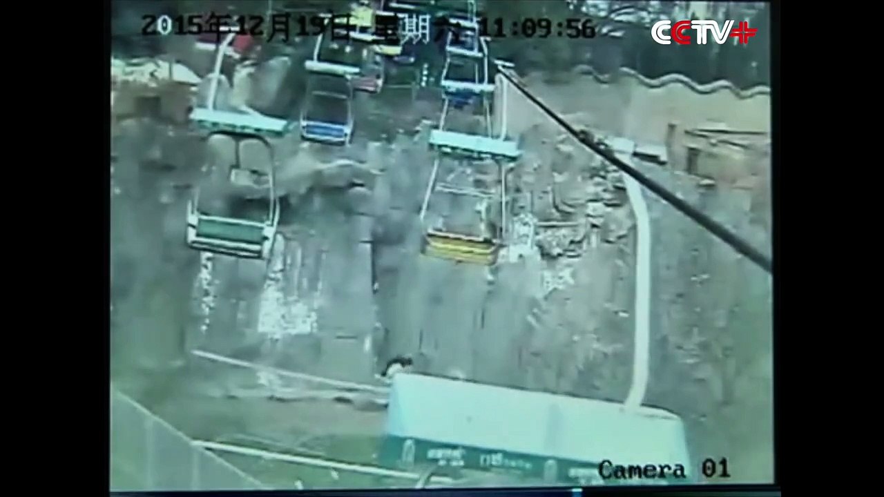 Man Jumping down Chairlift to Tiger Enclosure Saved in Henan Zoo