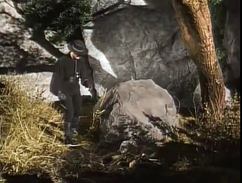 Zorro