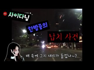 사이다님 한밤중의 납치 사건